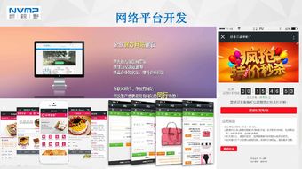 瓊海市互聯(lián)網(wǎng)協(xié)會會員風采 海南新視野企業(yè)營銷策劃服務(wù)有限公司——深耕本土，智創(chuàng)未來